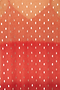 Orange Sunset Mesh Dress Petite