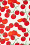 Tomato Scarf