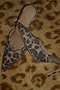 Leopard Denim Scallop City Mules