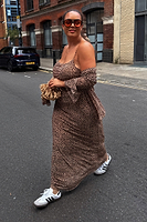 Thumbnail for caption_Model wears Leopard Mesh Slip Dress  in UK size 16/ US 12
