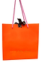 Orange NFD Gift Bag