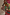 Thumbnail for Morocco Beaded Bag