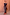 Thumbnail for Top in jersey nero e cioccolato con pizzo, abbinato a una gonna maxi con stampa floreale.