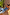 Thumbnail for caption_Model is 5ft4” and wears size S