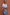 Thumbnail for caption_Model is 5ft4” and wears size S