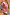 Thumbnail for caption_Model is 5ft4” and wears size S