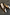 Thumbnail for Gold Wedge Mule