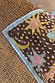Bandana Star Fawn marrone con stampa a stelle e lune colorate su base maculata e bordo celeste.