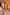 Thumbnail for caption_Model is 5ft4” and wears size S