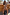 Thumbnail for caption_Model is 5ft7” and wears UK size 10/ US 6 