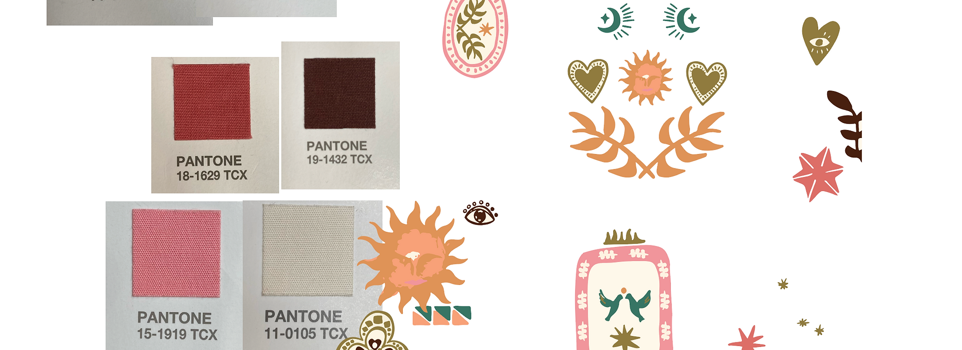 initial designs for our porto & bello collab with possible colour schemes