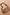 Thumbnail for Soleil Bag