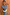 Thumbnail for caption_Model is 5ft4” and wears UK size 6/ US 2
