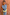 Thumbnail for Top asimmetrico a righe blu e navy con pizzo giallo, indossato da una modella su sfondo terracotta.