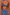 Thumbnail for caption_Model is 5ft4” and wears size S