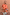 Thumbnail for Model wearing the red and camel Tomato Stripe Blouse with voluminous flared sleeves and matching shorts.