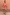 Thumbnail for Red and camel striped Tomato Stripe Blouse worn as a co-ord with matching shorts.
