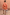 Thumbnail for Model from behind wearing the red and camel Tomato Stripe Ellie Shorts and matching blouse co-ord.