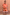 Thumbnail for Red and camel Tomato Stripe Ellie Shorts with contrast hem trim styled as a co-ord against a textured wall.