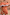 Thumbnail for Red and tan Tomato Stripe Scarf styled as a waist wrap over a matching off-the-shoulder dress.