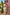Thumbnail for caption_Model is 5ft4” and wears UK size 6/ US 2