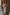 Thumbnail for caption_Model is 5ft4” and wears size S
