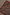 Thumbnail for Cherry Leopard Bandana