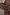 Thumbnail for Cherry Leopard Bandana