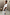 Thumbnail for caption_Model is 5ft4” and wears size S