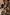 Thumbnail for caption_Model is 5ft4” and wears S
