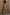 Thumbnail for caption_Model is 5ft4” and wears S