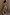 Thumbnail for caption_Model is 5ft4” and wears UK size 6/ US 2