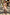 Thumbnail for Girl wearing the Banana Jersey Cotton Dress with orange stripes and fringe hem in a sunny outdoor setting.
