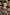 Thumbnail for Boy wearing cream multi-coloured banana print swim shorts and a yellow t-shirt outdoors.