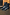 Thumbnail for Black Leather Boots with Gold Studs