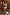 Thumbnail for caption_Model is 5ft7” and wears UK size 18/ US 14