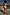 Thumbnail for caption_Model is 5ft7” and wears UK size 10/ US 6 