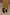 Thumbnail for Black Leather Boots with Gold Studs