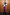 Thumbnail for caption_Model is 5ft5” and wears UK size 10/ US 6