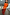 Thumbnail for Gonna Red Celestial Dorris rossa con stampe celestiali e top arancione a costine.