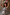 Thumbnail for caption_Model is 5ft4” and wears size S