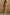 Thumbnail for Fawn Midi Maeva Skirt Petite