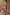 Thumbnail for Star Fawn Aria Mesh Dress