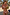 Thumbnail for caption_Model is 5ft4” and wears UK size 8/ US 4