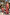 Thumbnail for Pink fruit print wide leg set for girls, worn by a child standing on sand with an adult in a matching outfit.