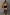 Thumbnail for caption_Model is 5ft7” and wears UK size 10/ US 6