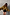Thumbnail for caption_Model is 5ft7” and wears UK size 10/ US 6