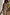 Thumbnail for caption_Model is 5ft7” and wears UK size 18/ US 14