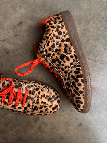 Leopard Pony Trainer