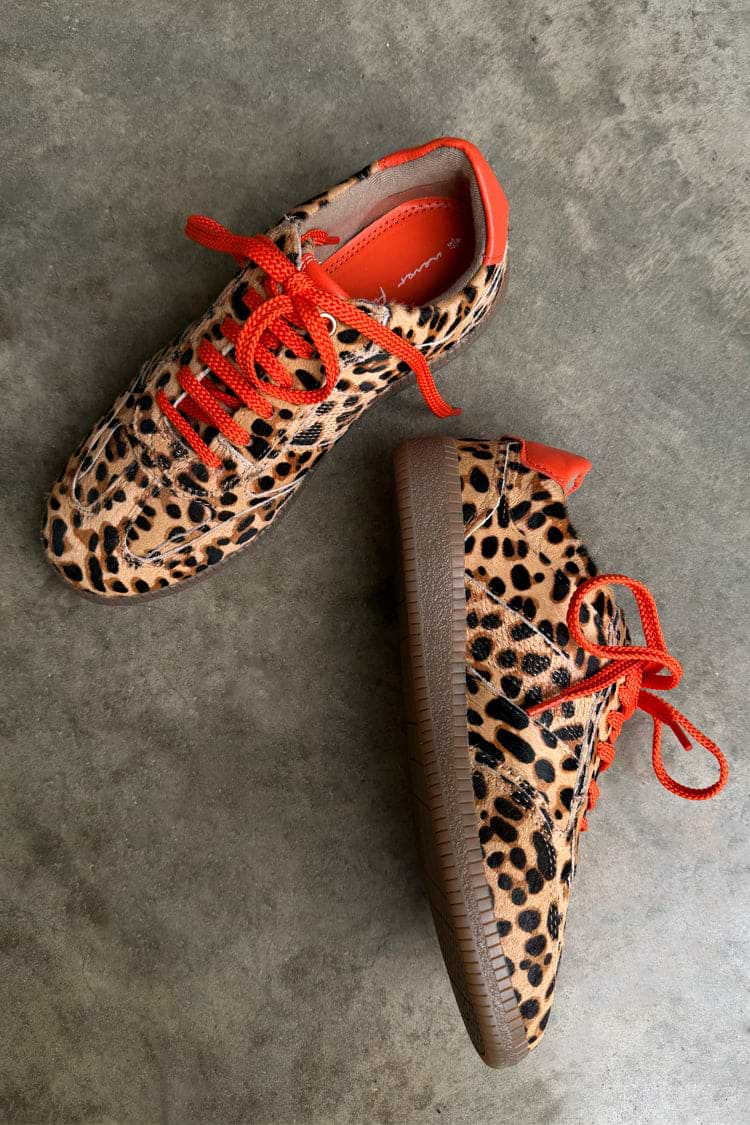 Leopard Pony Trainer